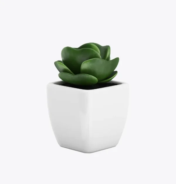 product-image-9_optimized Augue Neque